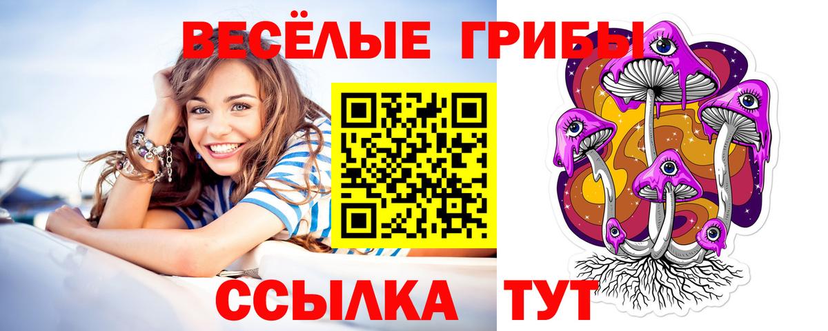 Алейск  Галлюциногенные грибы MAGIC MUSHROOMS  Псилоцибиновые грибы мухоморы  Вход с VPN 